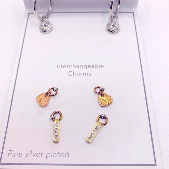 Gold and Silver Interchangeable Earrings Set with Charms - Picture 1 of 8